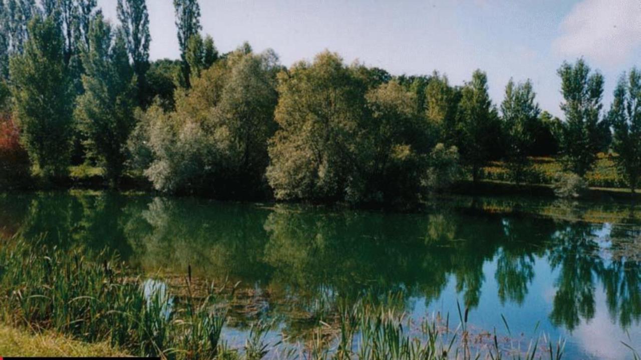 La Decouverte, Jacuzzi, Sauna, Et Terrasse Avec Vue Sur Lac A La Campagne Entre Toulouse Et Auch Villa Catonvielle Buitenkant foto