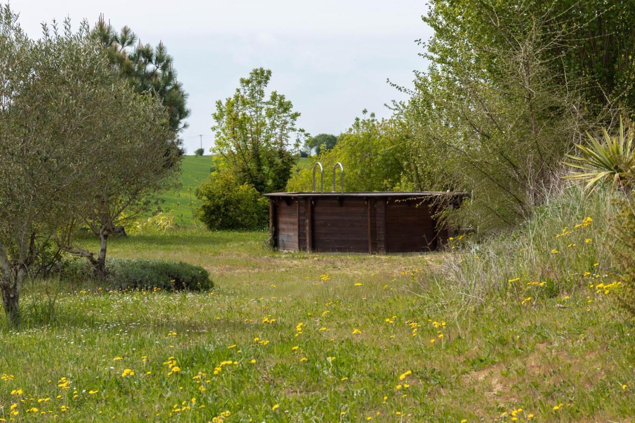 La Decouverte, Jacuzzi, Sauna, Et Terrasse Avec Vue Sur Lac A La Campagne Entre Toulouse Et Auch Villa Catonvielle Buitenkant foto