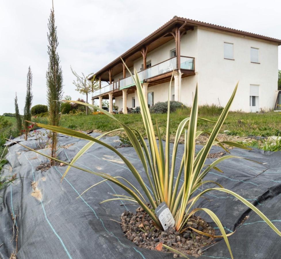 La Decouverte, Jacuzzi, Sauna, Et Terrasse Avec Vue Sur Lac A La Campagne Entre Toulouse Et Auch Villa Catonvielle Buitenkant foto